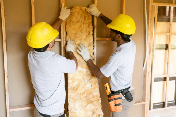 Best Insulation for Existing Homes  in Gilroy, CA